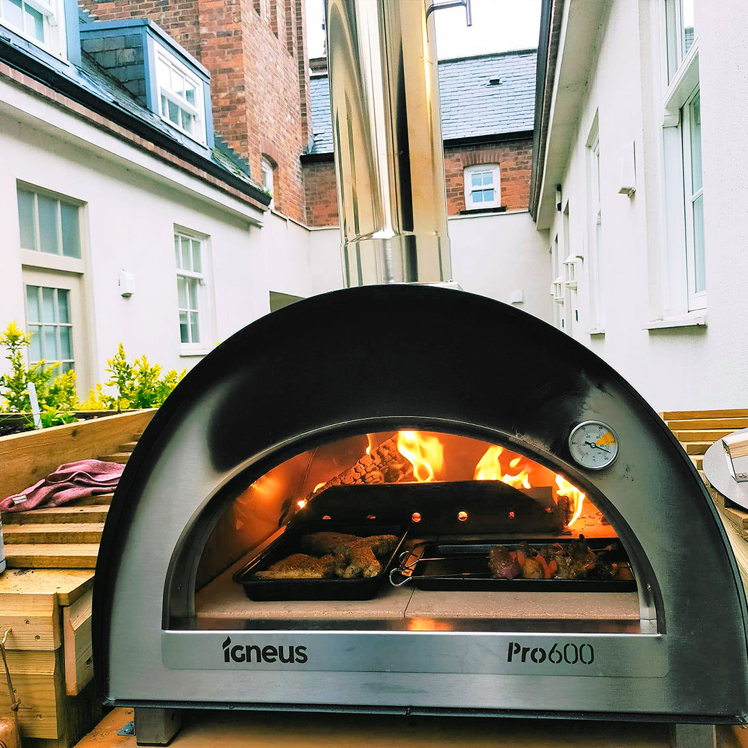Pro 600