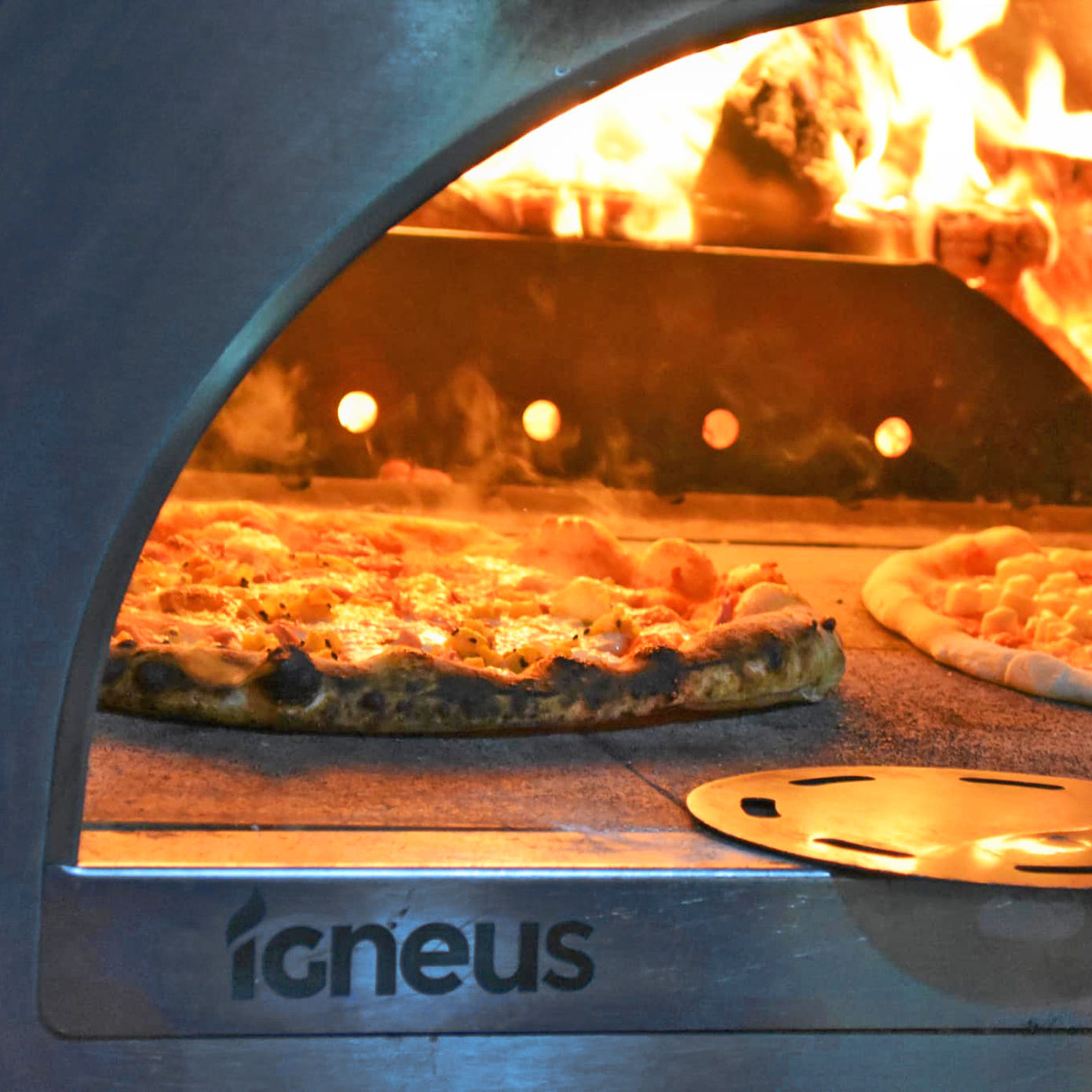 Igneus Pro 750 Pizza Oven Bundle