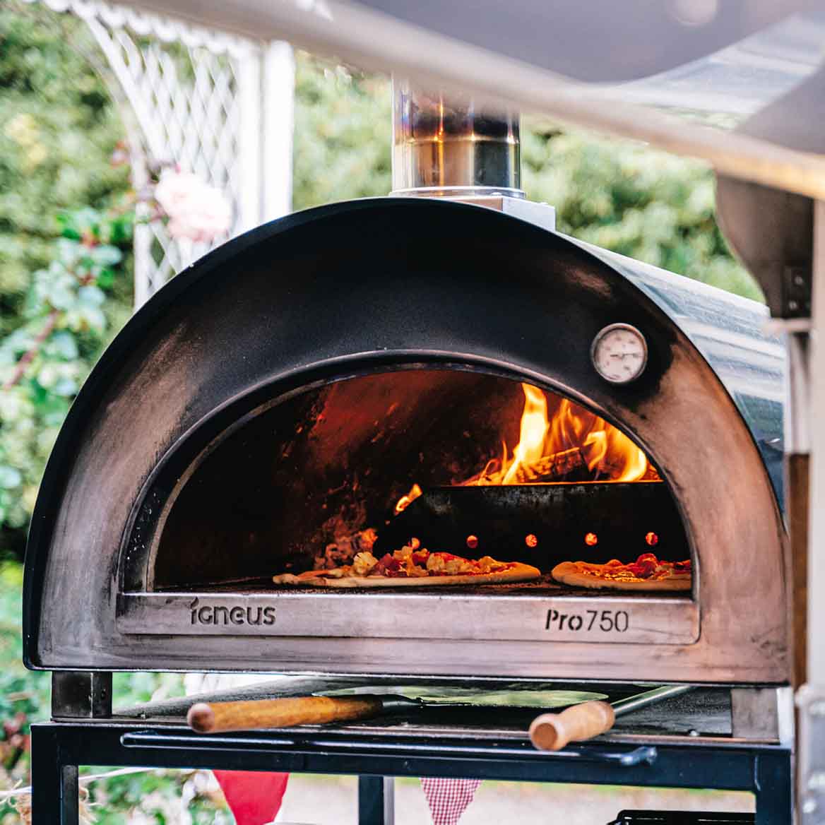 Igneus Pro 750 Pizza Oven Bundle